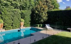 Bay Laurel (Sweet Bay) - Laurus Nobilis - 2 Gallon Pot -Green Haven Sales Bay Laurel 7