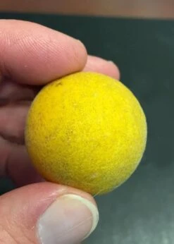 Flying Dragon Hardy Orange Tree - 3 Gallon Pot -Green Haven Sales Orange Flying Dragon 6