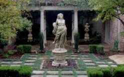 Dwarf Mondo Grass - 32 Pack Of 2.5" Pots -Green Haven Sales Picture Mondo Grass Dwarf Pavers