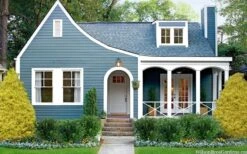 Gold Mop Threadleaf Cypress - 6 Pack Of 1 Gallon Pots -Green Haven Sales chamaecyparis pisifera gold mop cypress 105 1