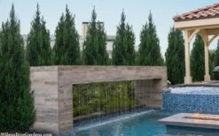 Spartan Juniper - 6 Pack Of 1 Gallon Pots -Green Haven Sales juniperus chinensis spartan columnar juniper 40