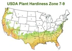 Chisato No Aki Camellia Japonica - 3 Gallon Pot -Green Haven Sales usda zone 7 9 map 600x425 1